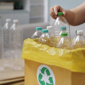 Woman,Hand,Holding,Recycle,Plastic,Bottle,Put,In,Paper,Garbage